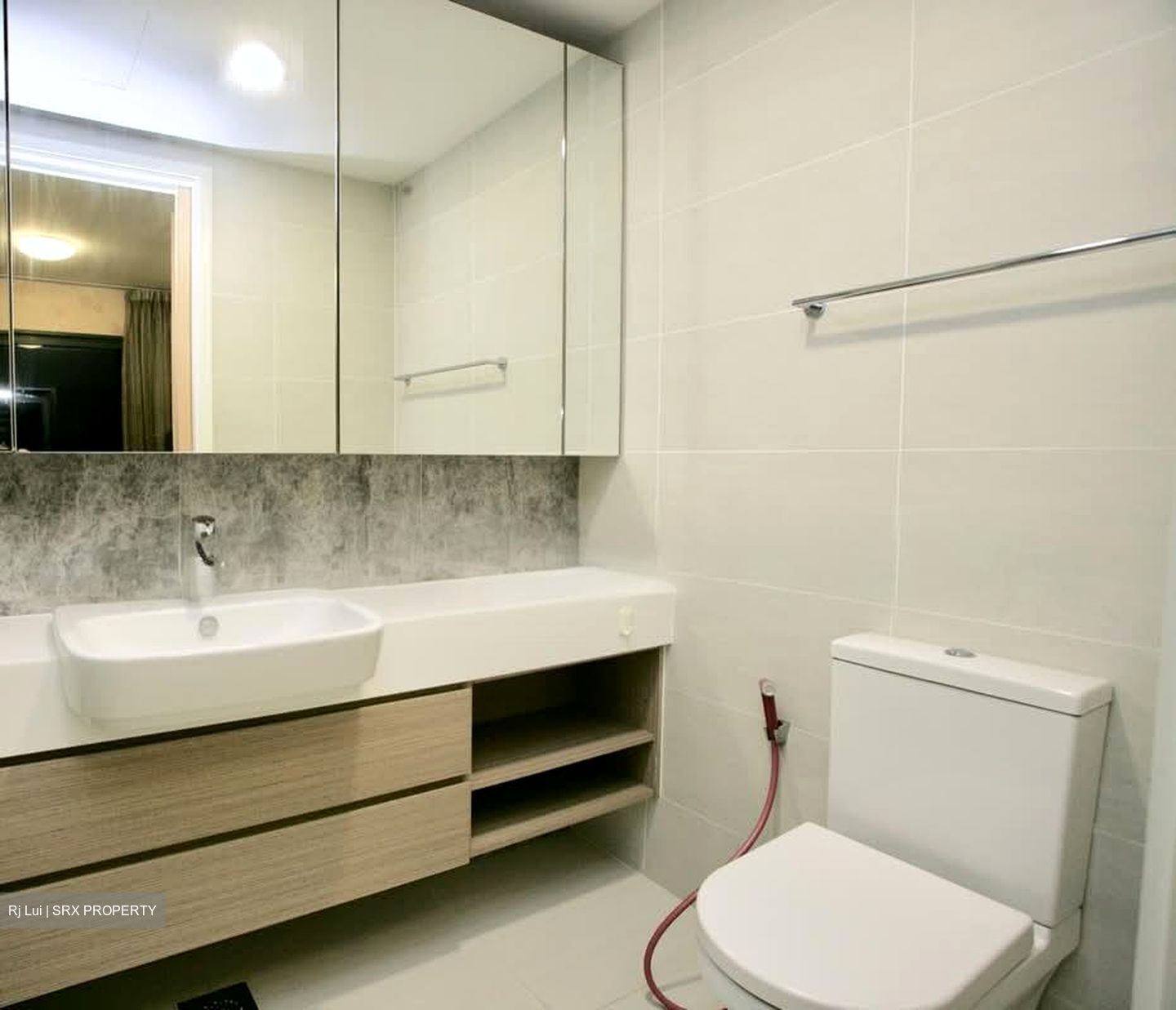 The Lakefront Residences (D22), Condominium #540605211